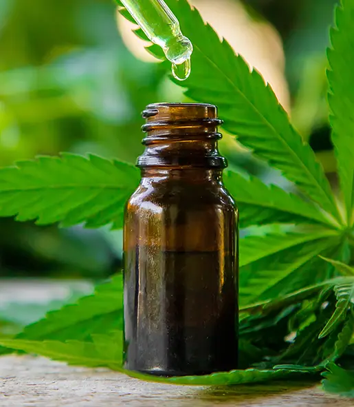 SOFTCANN_SITE_MVV_ESG_SESSAO_DIFERENCIAIS_REDE_GLOBAL_DE_ESPECIALIZACAO